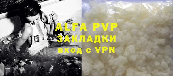гидра Карпинск