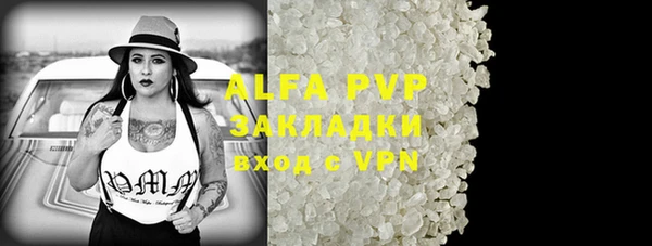 дживик Касимов