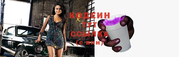 гидра Карпинск
