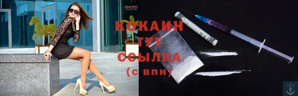 гидра Карпинск