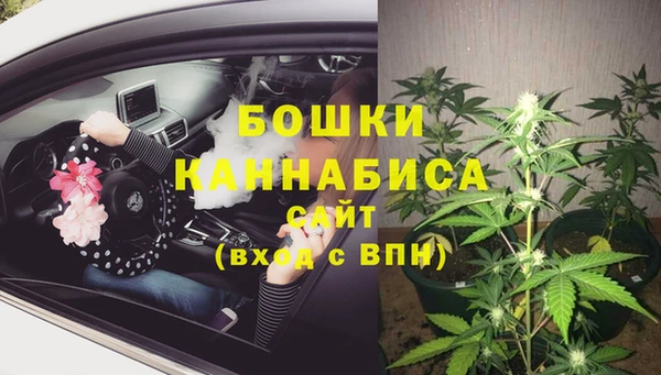 гидра Карпинск