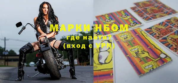 гидра Карпинск