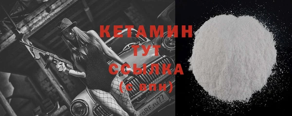 гидра Карпинск
